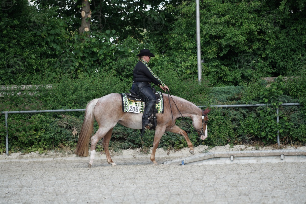 s_APF06612.jpg